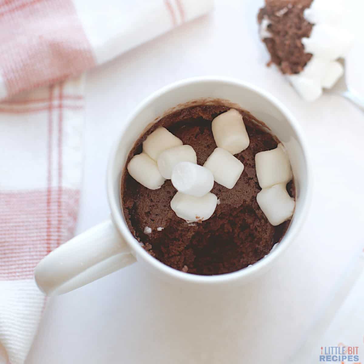 Healthy Chocolate Mug Cake (Gluten-free, Eggless) | Laura Fuentes