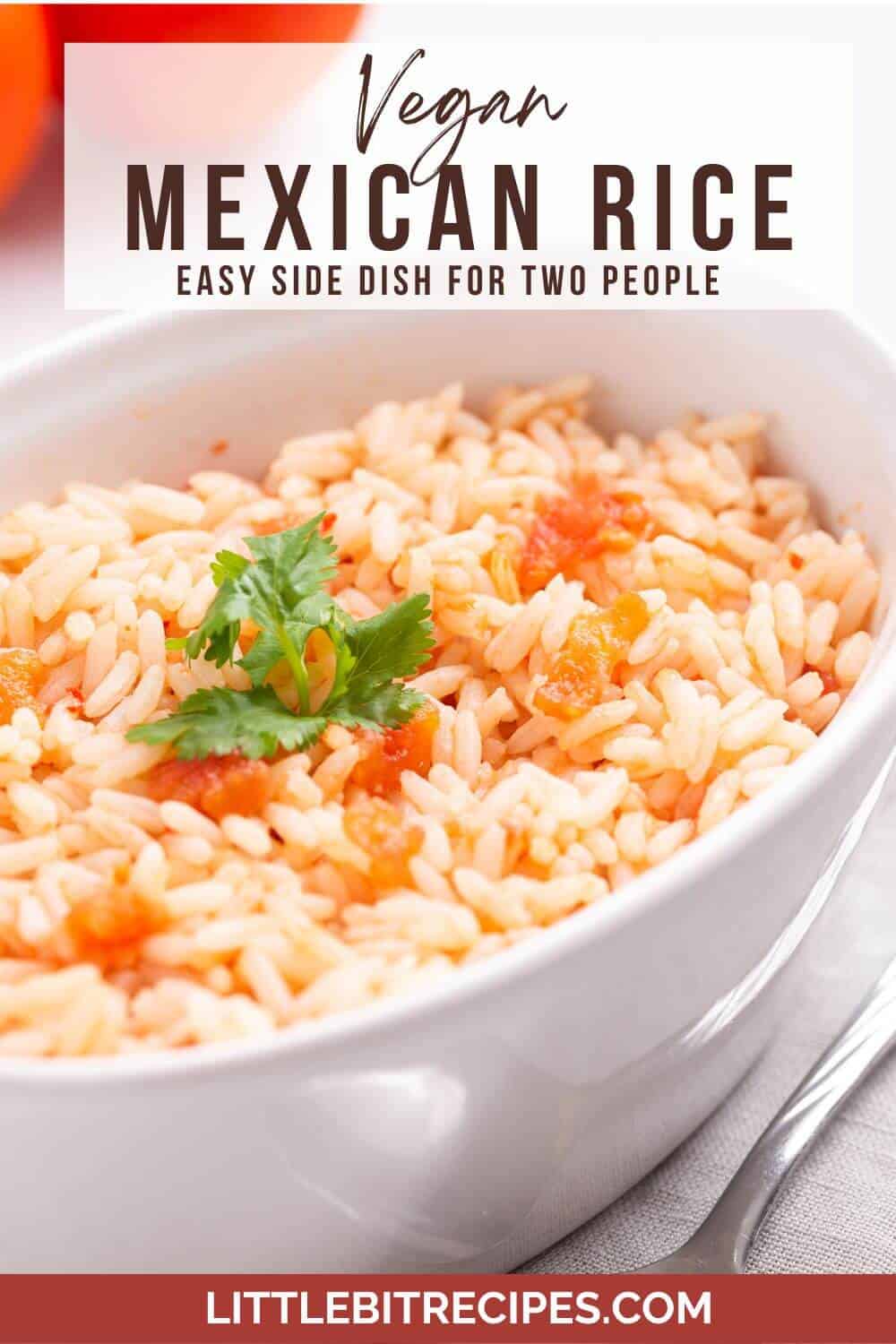 mexican rice with text.