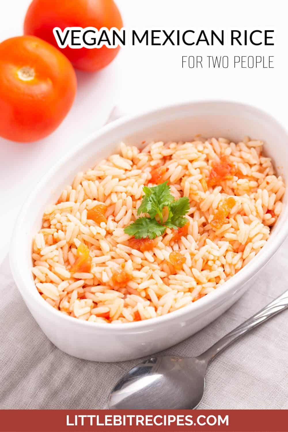 vegan mexican rice with text.