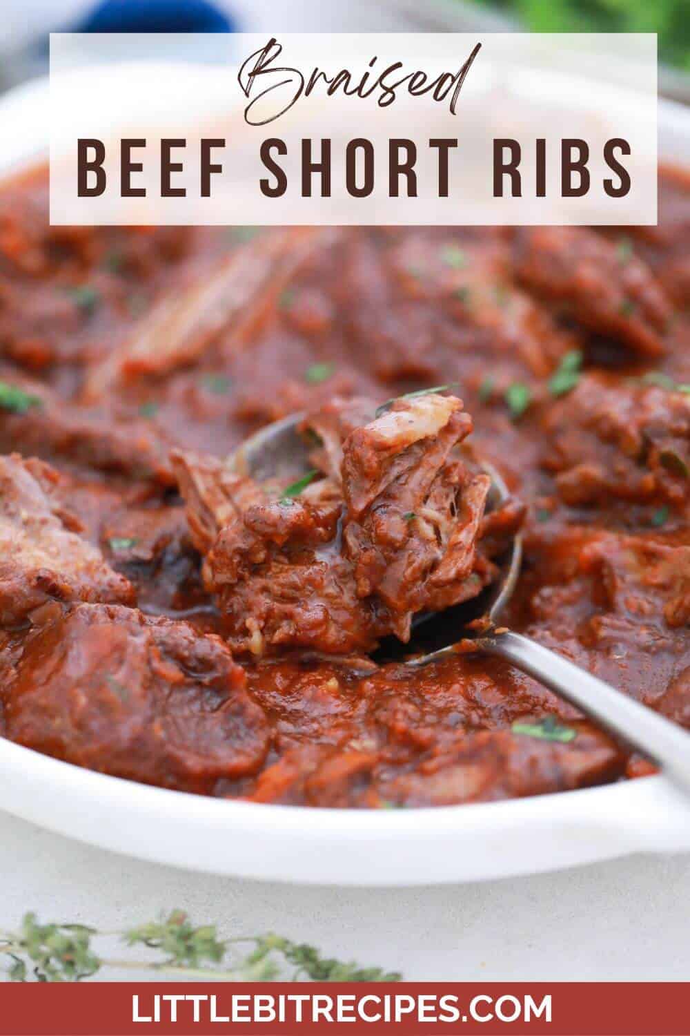 braised short ribs with text.