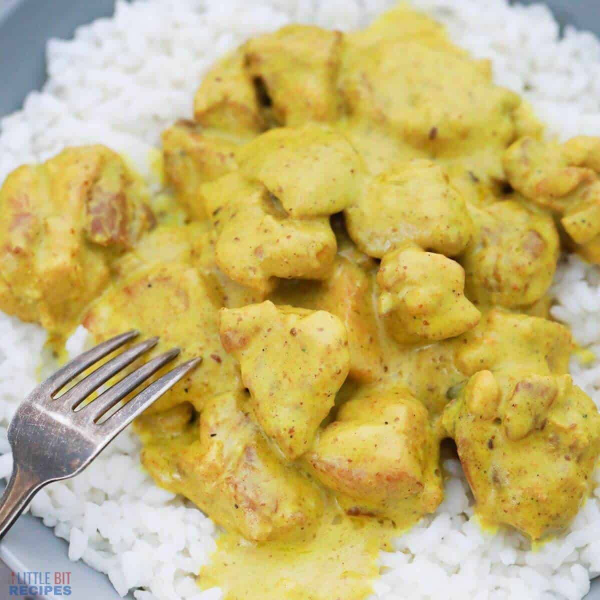 chicken curry over rice.