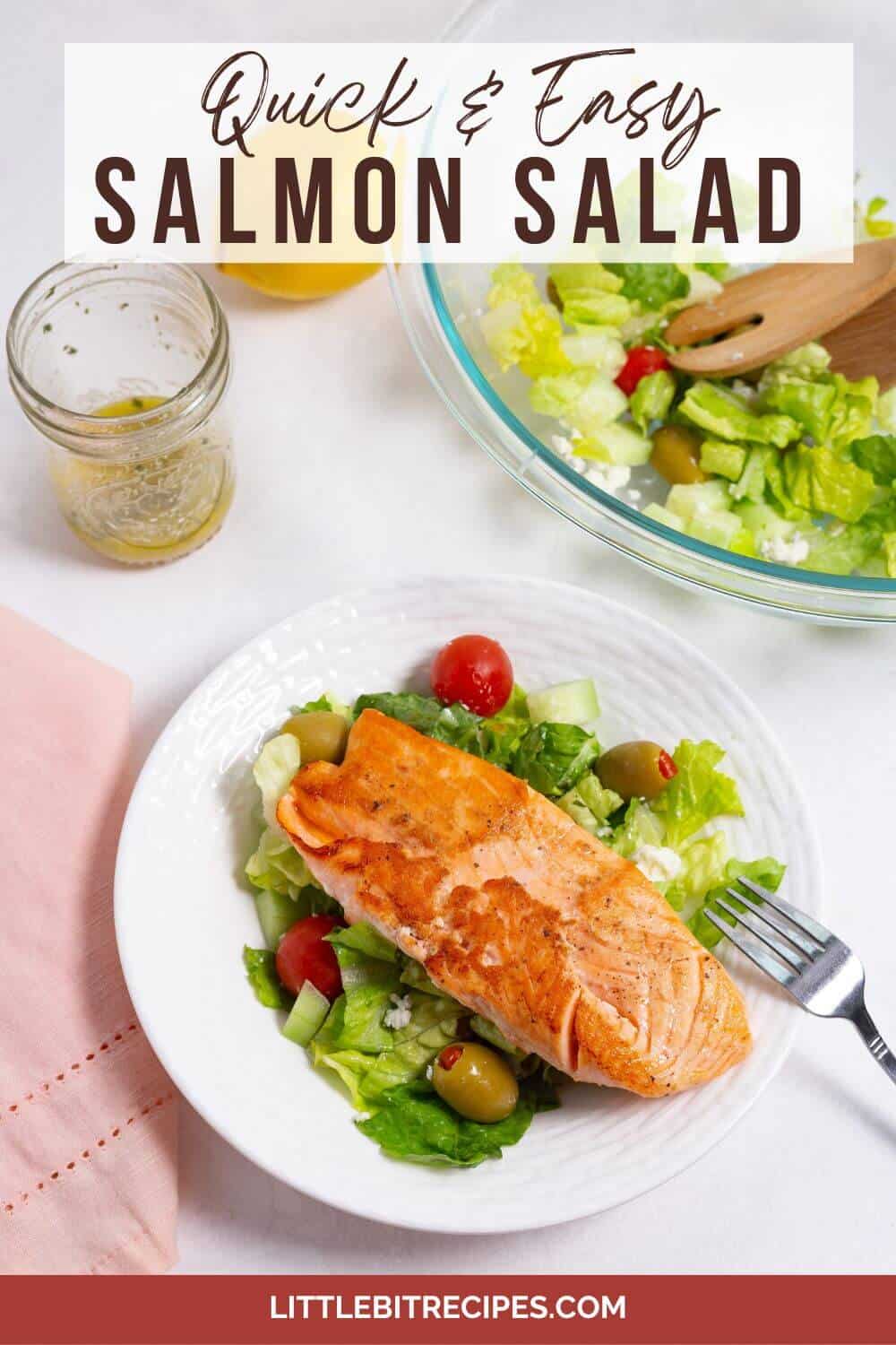 salmon salad with text overlay box.