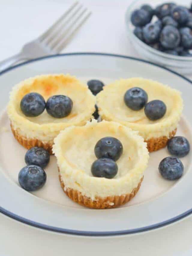 Easy Vegan Cheesecake Alternative Little Bit Recipes