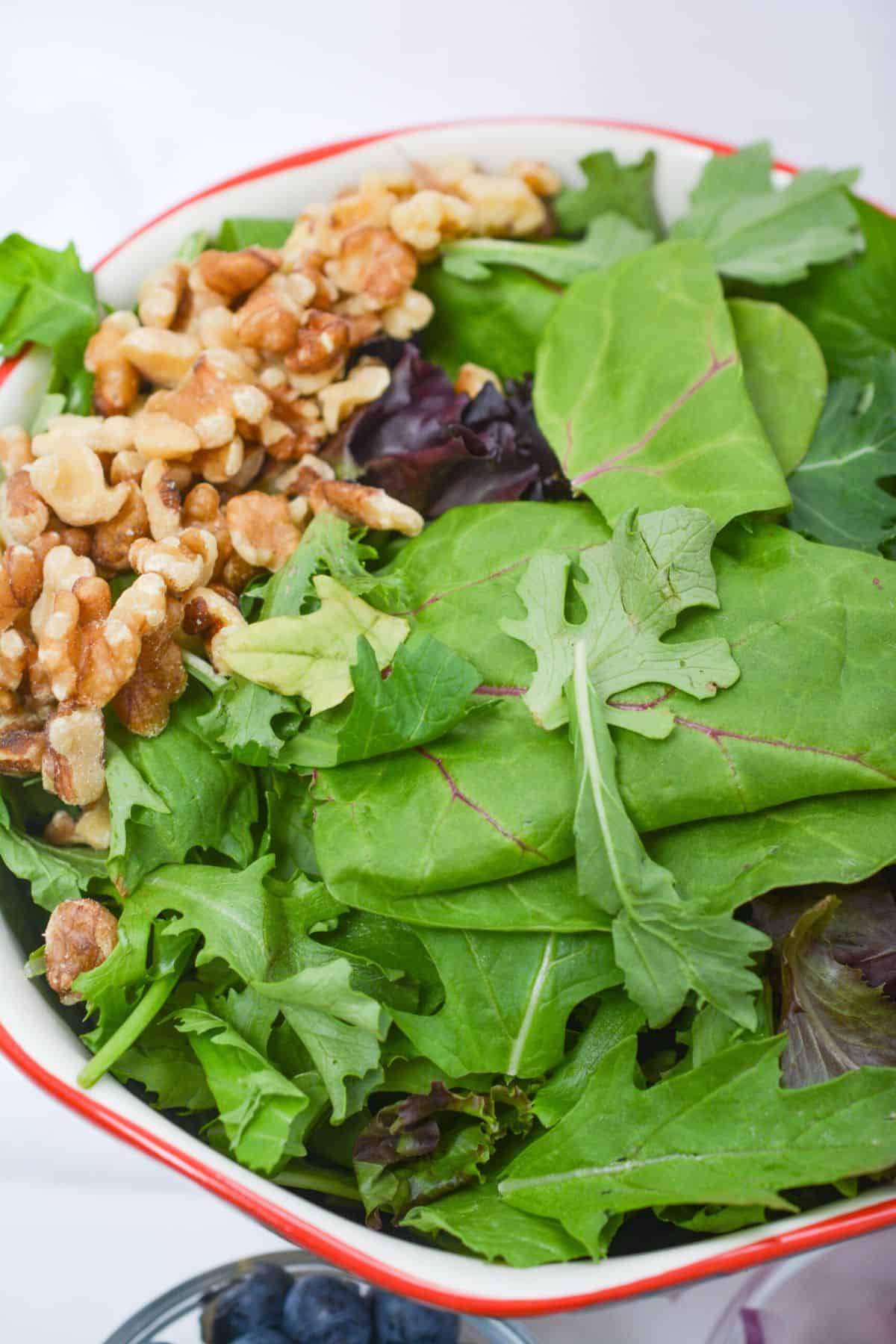 A bowl of greens with walnuts and blueberries.