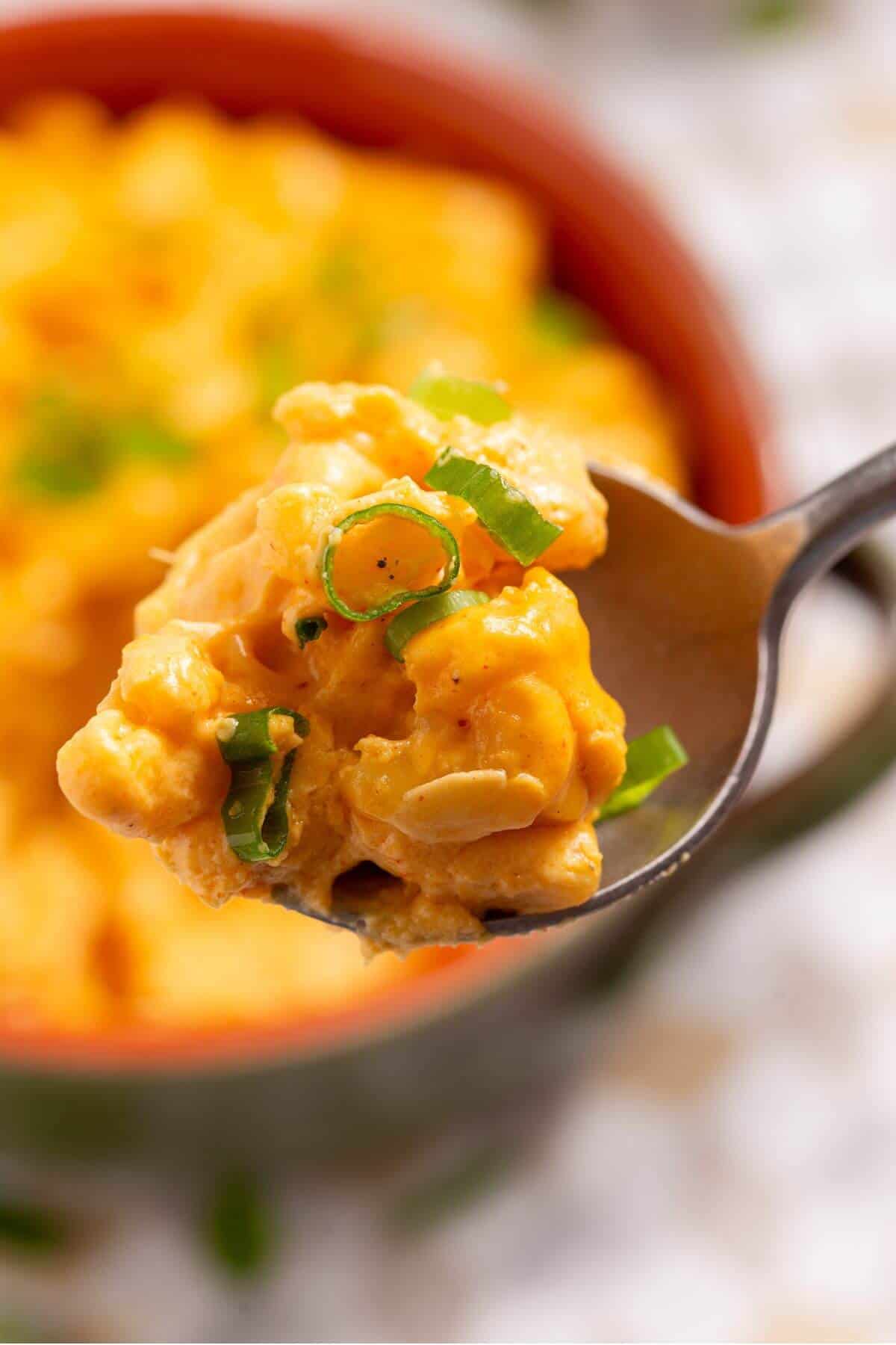 Cheesy macaroni and cheese on a spoon.