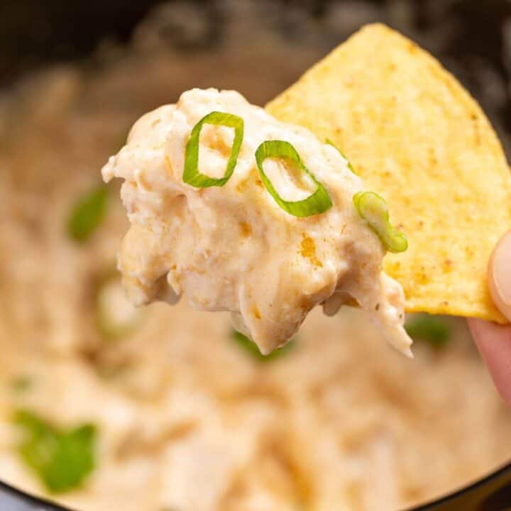 Slow Cooker Buffalo Chicken Dip in Crock Pot Little Bit Recipes