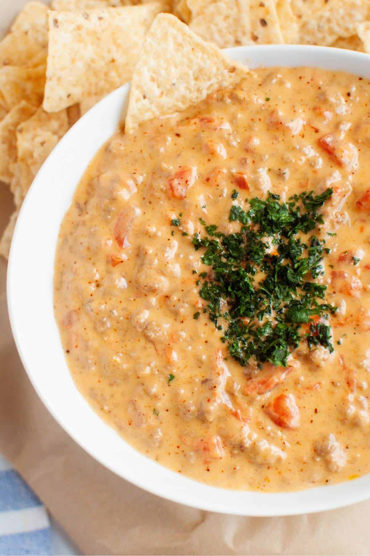 A bowl of creamy beef queso dip with diced tomatoes and a garnish of herbs, surrounded by tortilla chips.