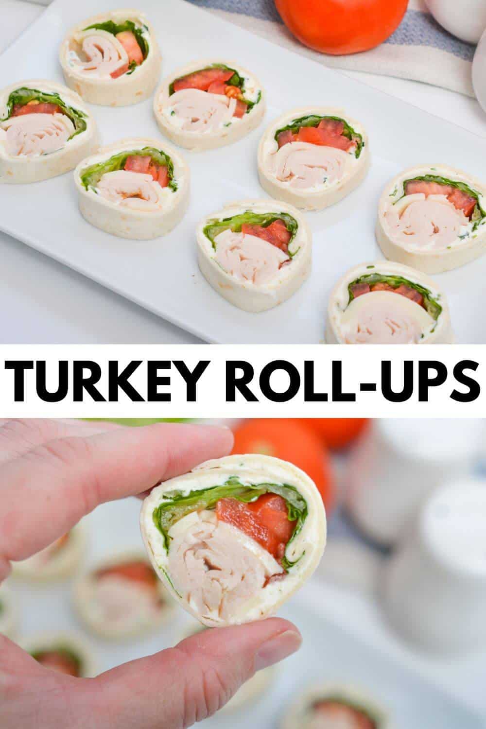 Turkey roll ups on a white plate.