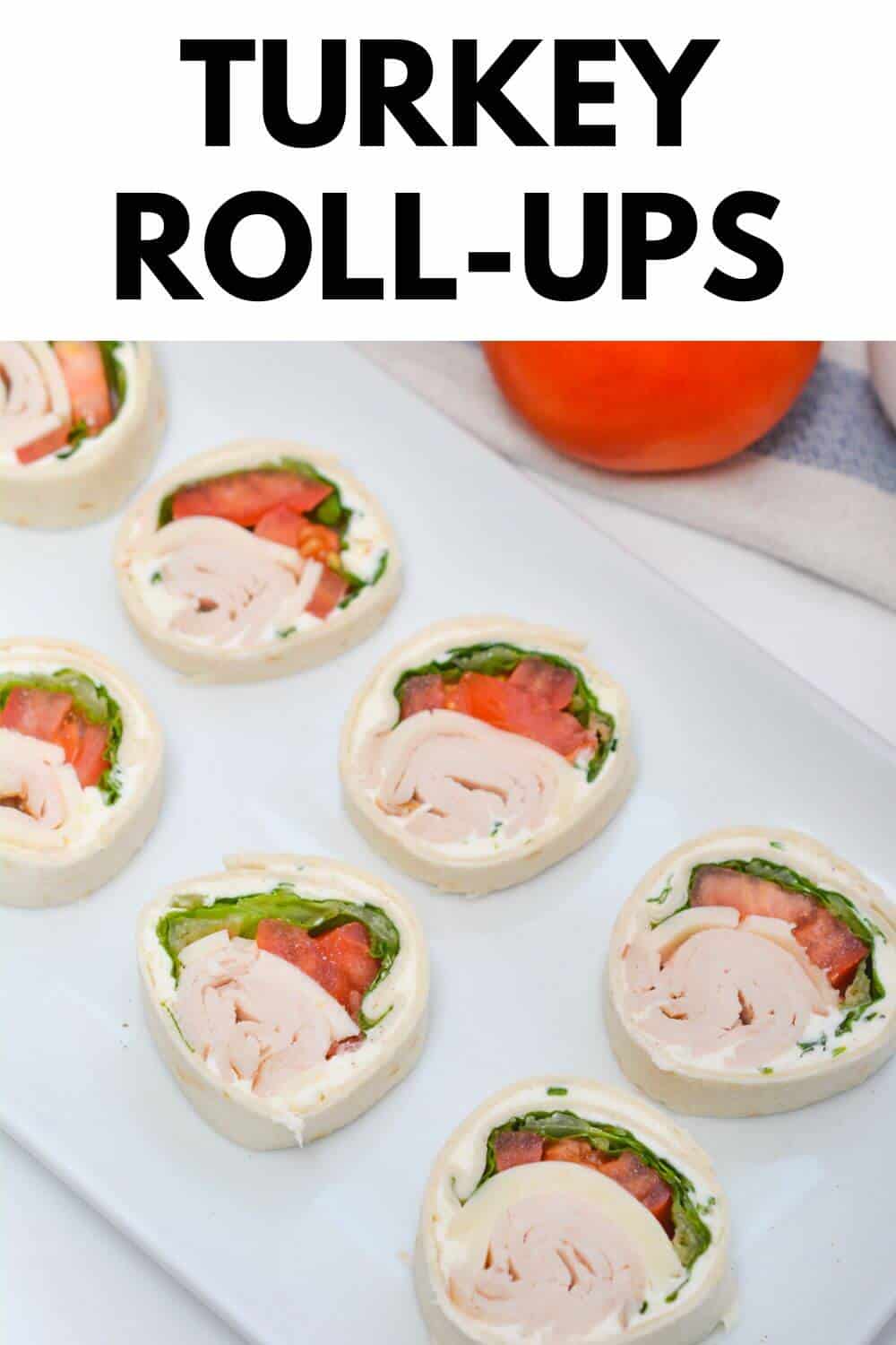 Turkey roll - ups on a white plate.