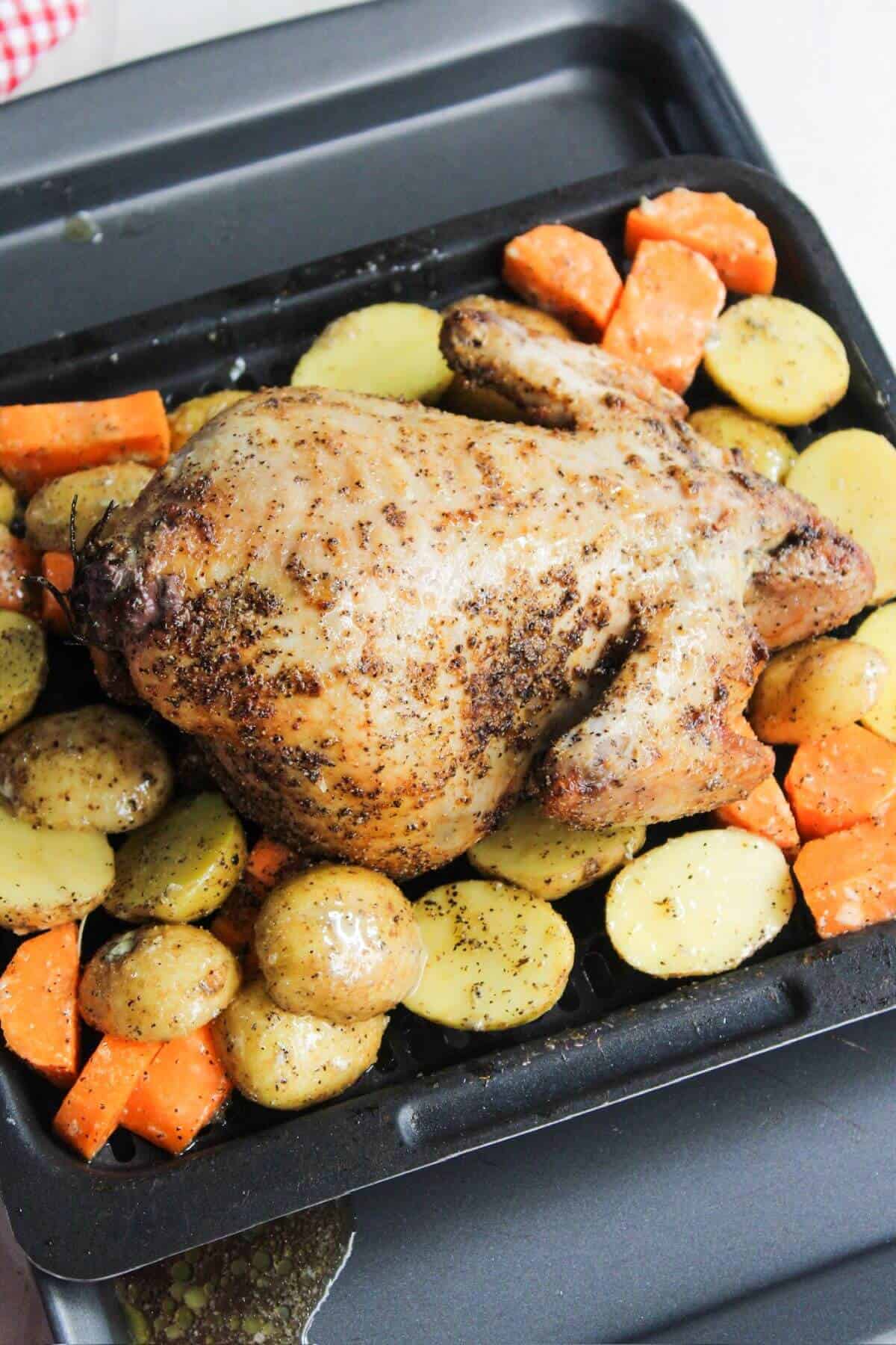 A whole chicken in the air fryer, roasted with carrots and potatoes on an air fryer tray.