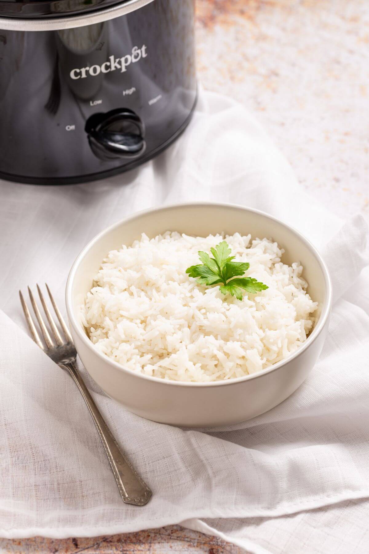 A bowl of rice in front of a crockpot.