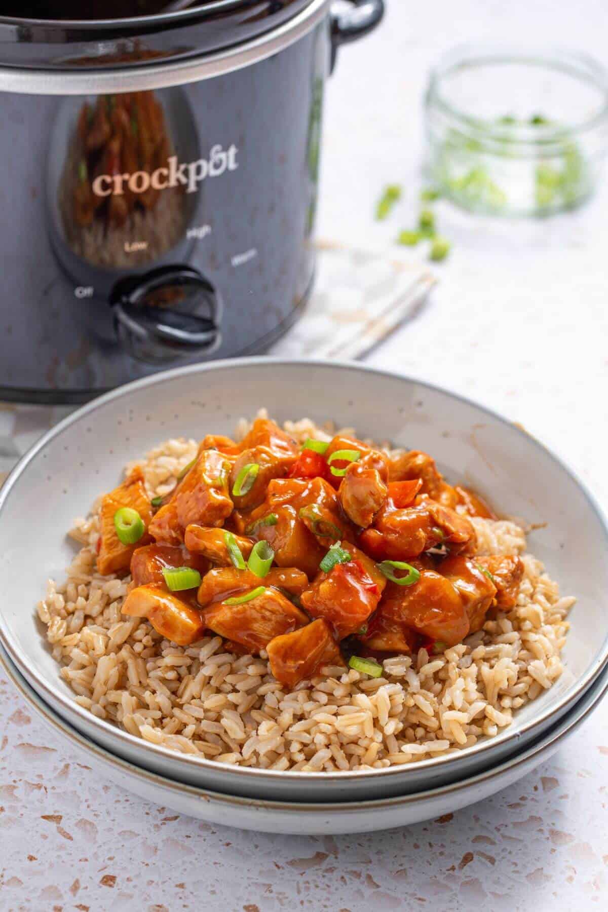 A bowl of rice and chicken in front of a crockpot.