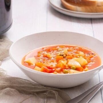 A bowl of soup in front of a slow cooker.