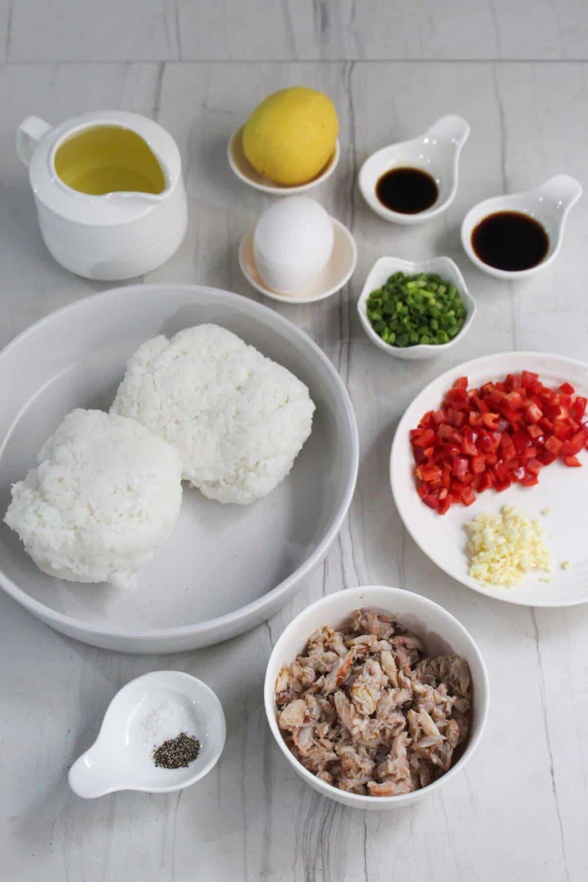 The ingredients for a dish of fried rice.