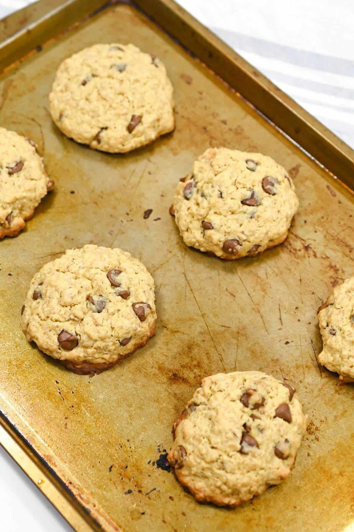 Oatmeal chocolate chip cookies on a baking sheet.