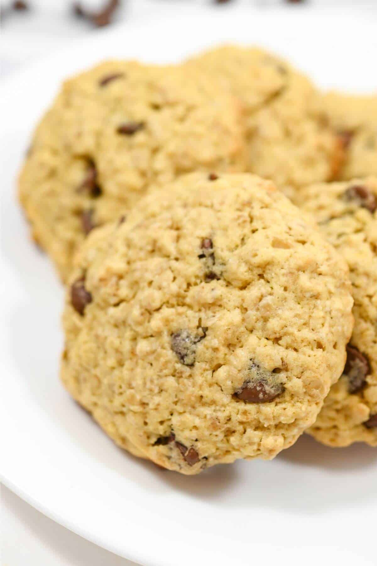 A group of oatmeal chocolate chip cookies on a white surface.