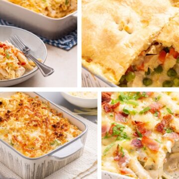 A cozy collage of four dishes perfectly sized for smaller families: creamy chicken casserole, pot pie with a flaky crust, baked chicken divan, and creamy bacon ranch pasta