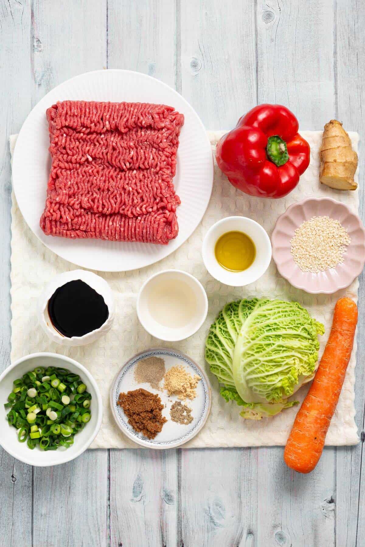 A neatly arranged assortment of ingredients is placed on a white surface, including ground meat, bell pepper, ginger, soy sauce, shredded cabbage, green onions, carrot, sesame seeds, spices, oil, and vinegar.