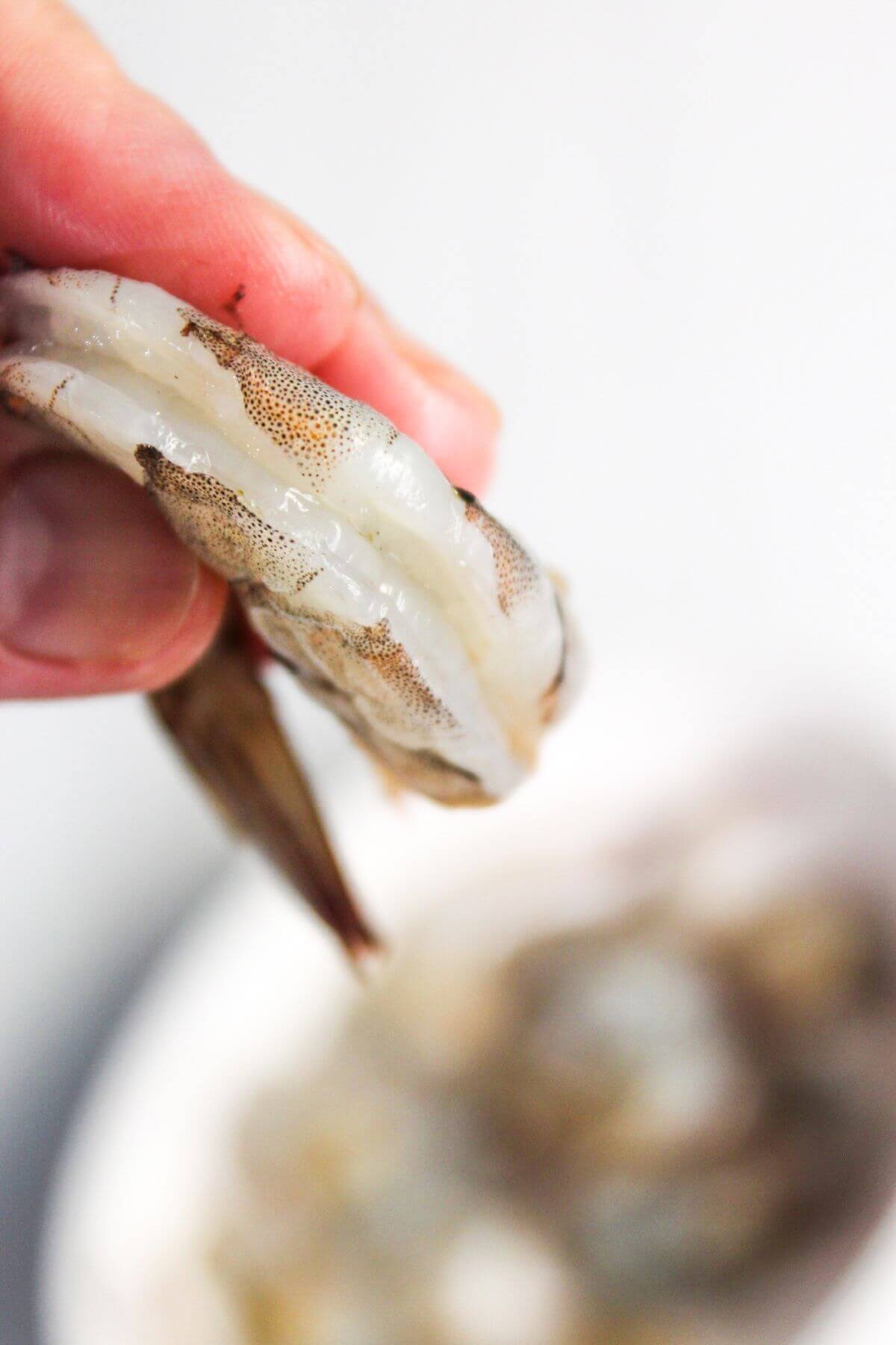 Close-up of a hand holding an uncooked shrimp by its tail over a blurred container of other shrimp in the background.