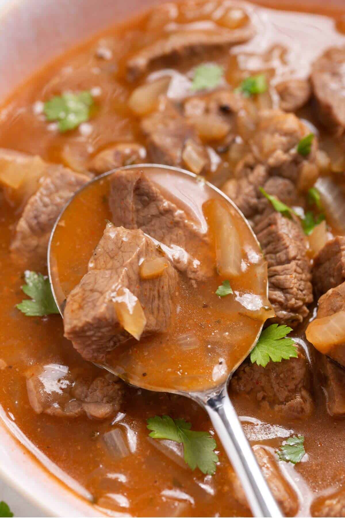 Close-up of a spoonful of beef stew. The stew contains chunks of beef, onions, and is garnished with cilantro in a red, tomato-based broth.