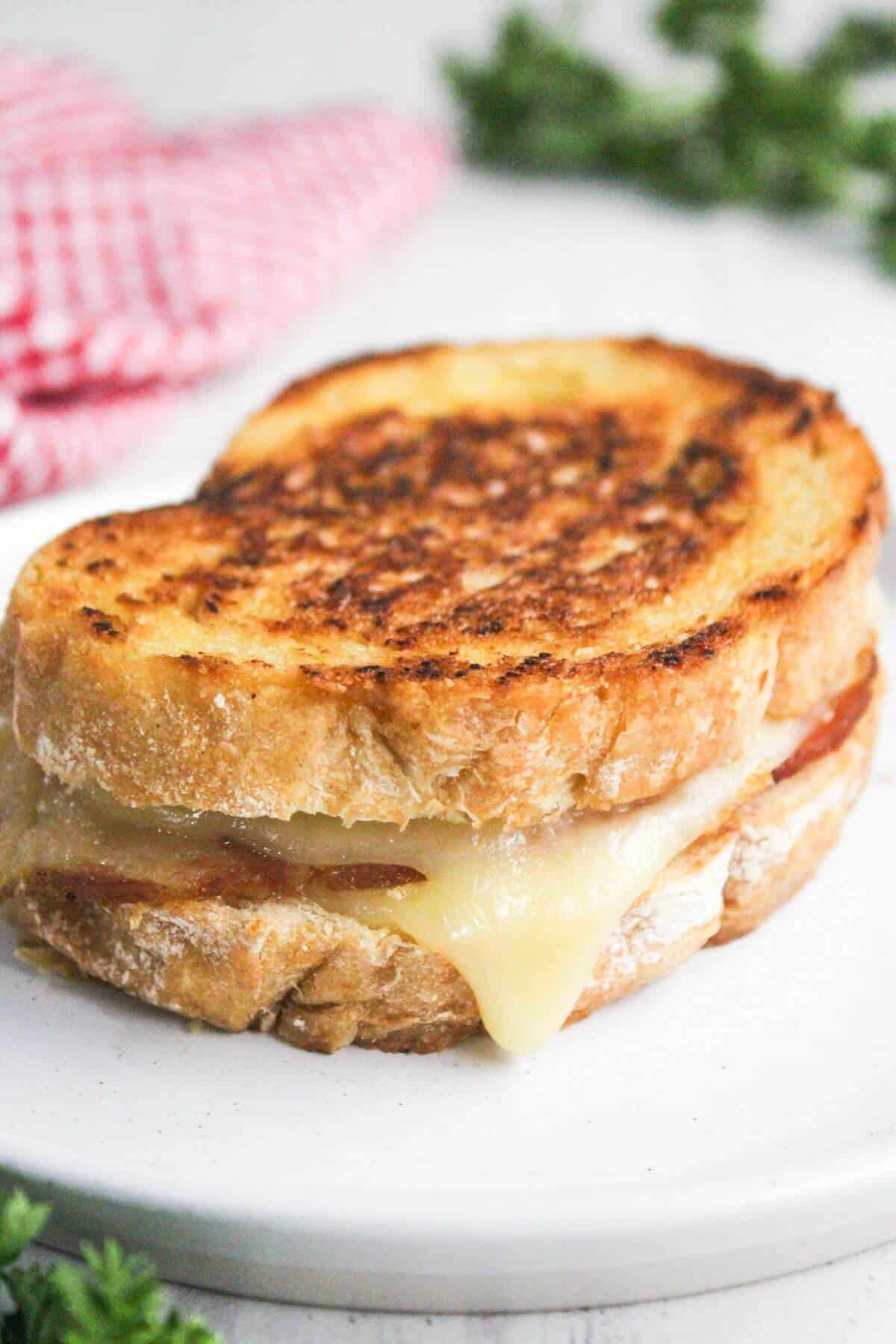 Grilled cheese sandwich with melted cheese on toasted bread, served on a white plate with a red checkered cloth in the background.