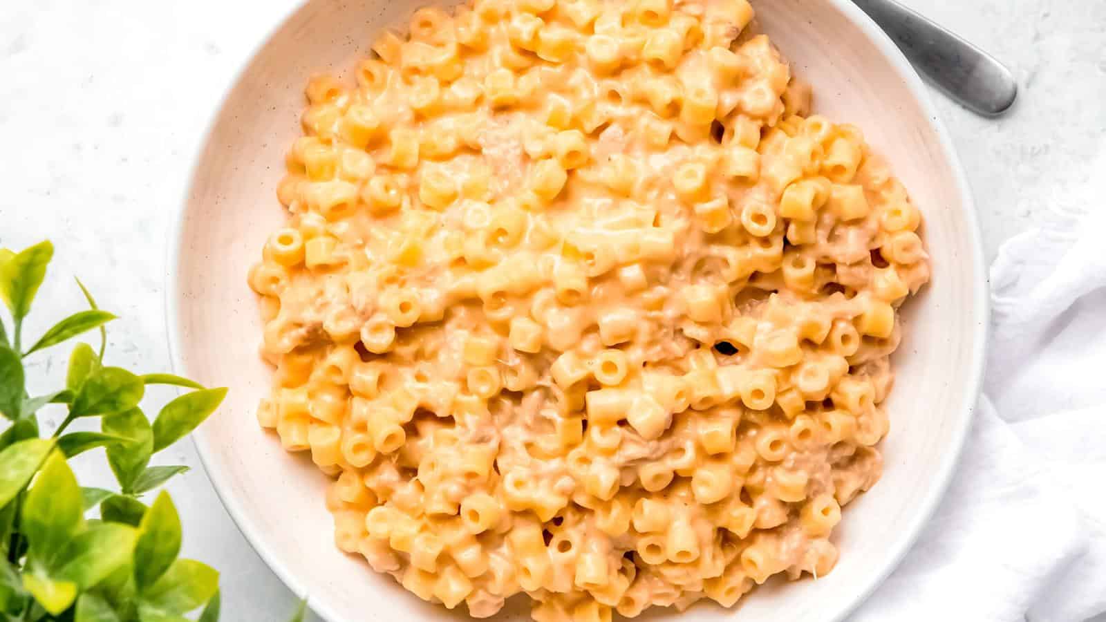 A bowl of creamy macaroni and cheese on a white surface with a green plant partially visible on the left.