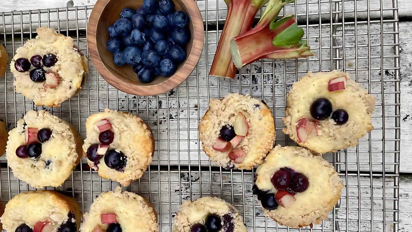 Seven blueberry rhubarb muffins on a cooling rack, beside a bowl of blueberries and some rhubarb stalks.