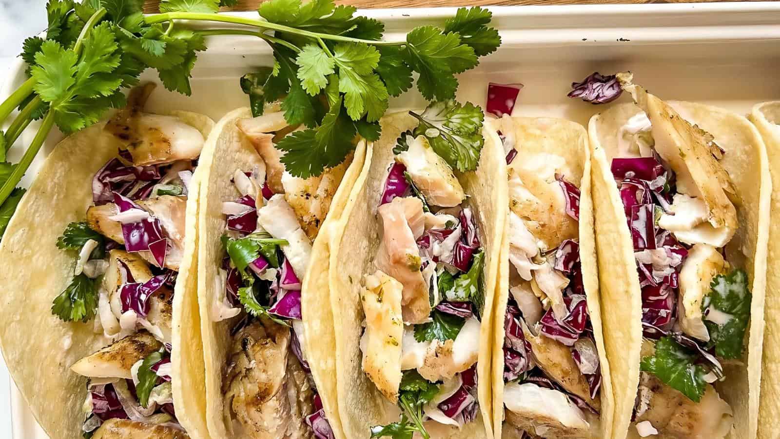Four fish tacos with shredded cabbage, cilantro, and sauce in corn tortillas, garnished with a sprig of fresh cilantro.