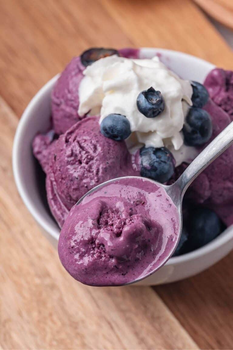Jcool Blueberry Frozen Yogurt | Little Bit Recipes