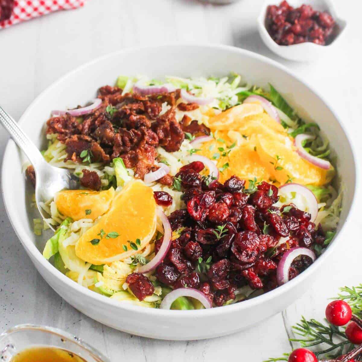 A salad in a white bowl featuring orange slices, dried cranberries, red onion rings, and bacon bits on a bed of lettuce. A fork is placed in the bowl.