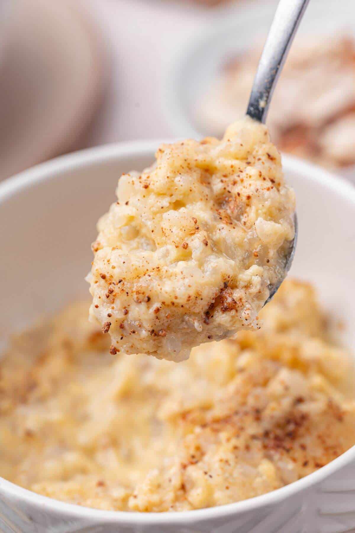 A close-up of a spoonful of creamy oatmeal sprinkled with cinnamon being held above a white bowl filled with more oatmeal.