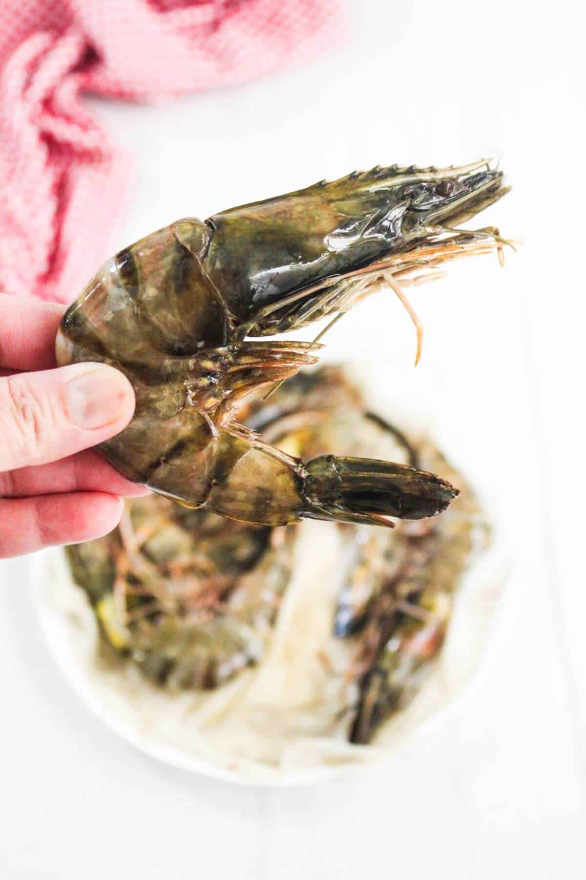 A hand holding a large raw prawn over a plate filled with more raw prawns, with a red towel in the background.