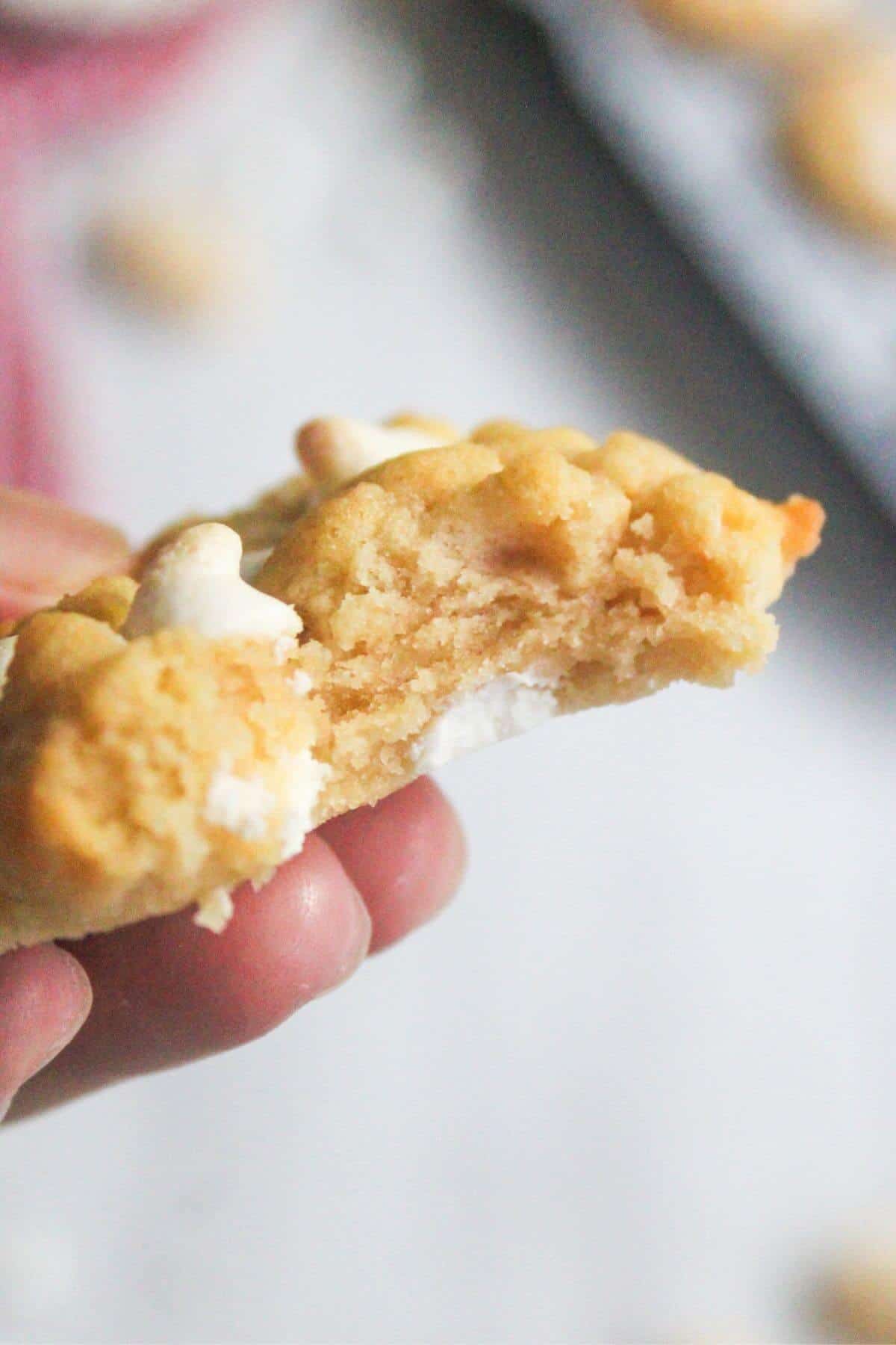 A hand holding a cookie with white chocolate chips, showing a bitten texture.
